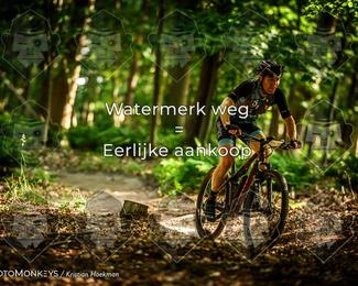 Bartje 200 photo