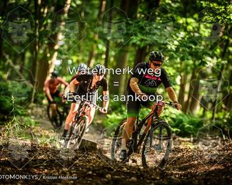 Bartje 200 photo