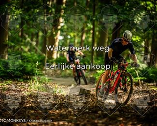 Bartje 200 photo