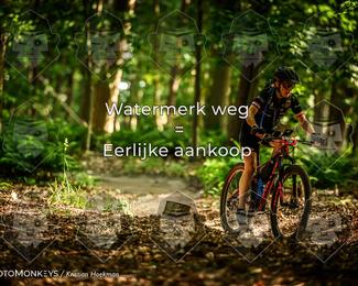 Bartje 200 photo