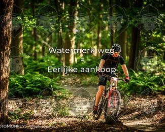 Bartje 200 photo