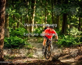 Bartje 200 photo