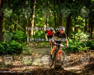 Bartje 200 photo