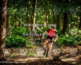 Bartje 200 photo