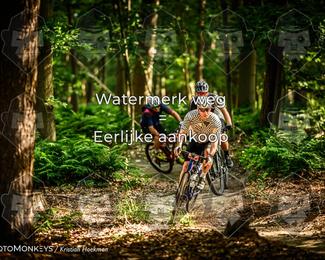 Bartje 200 photo