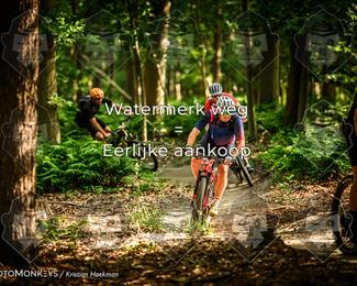 Bartje 200 photo