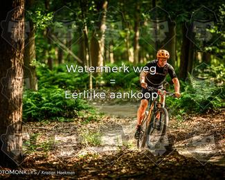 Bartje 200 photo