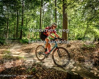 Bartje 200 photo
