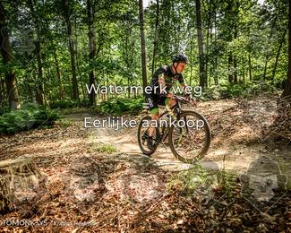 Bartje 200 photo