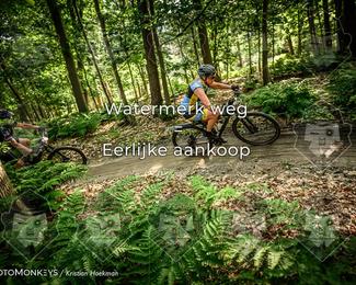 Bartje 200 photo