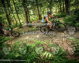 Bartje 200 photo