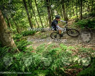 Bartje 200 photo