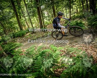 Bartje 200 photo