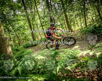 Bartje 200 photo