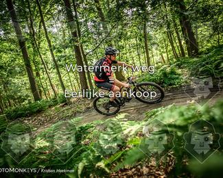Bartje 200 photo