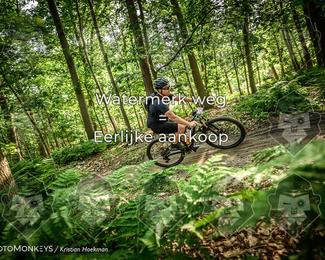Bartje 200 photo