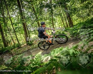 Bartje 200 photo