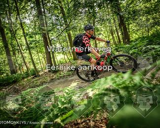 Bartje 200 photo