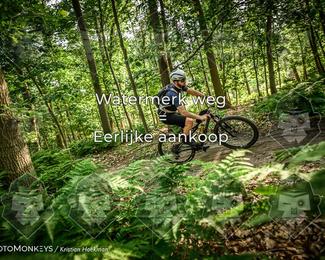 Bartje 200 photo