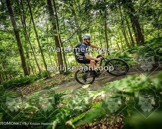 Bartje 200 photo