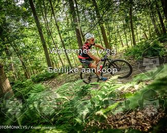 Bartje 200 photo