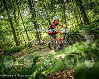 Bartje 200 photo