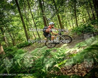 Bartje 200 photo