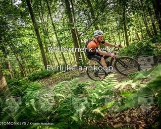 Bartje 200 photo