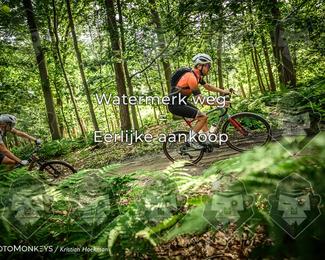 Bartje 200 photo