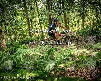 Bartje 200 photo