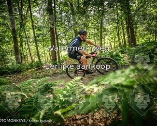 Bartje 200 photo