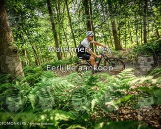 Bartje 200 photo