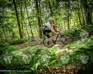 Bartje 200 photo