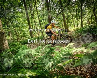Bartje 200 photo