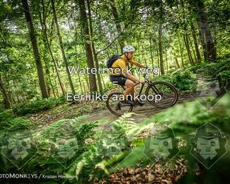 Bartje 200 photo