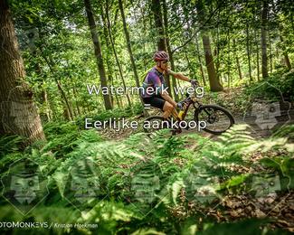 Bartje 200 photo