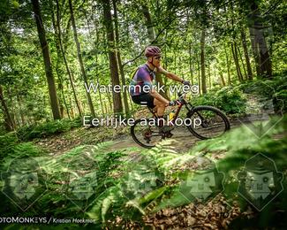 Bartje 200 photo