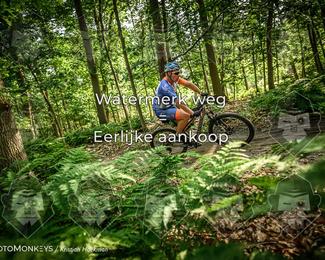 Bartje 200 photo