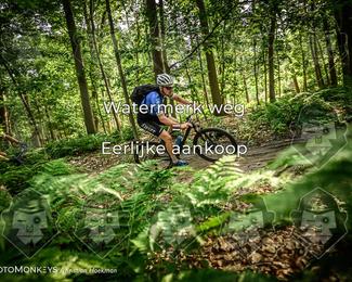 Bartje 200 photo