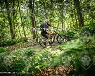 Bartje 200 photo