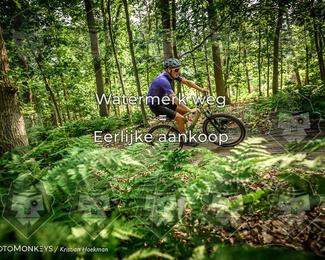 Bartje 200 photo