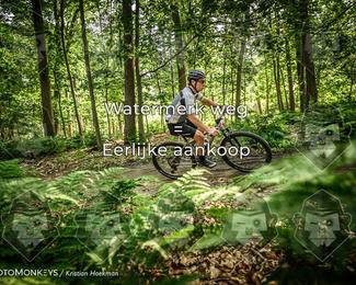 Bartje 200 photo