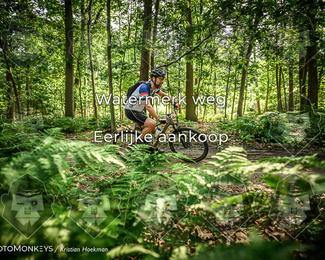 Bartje 200 photo