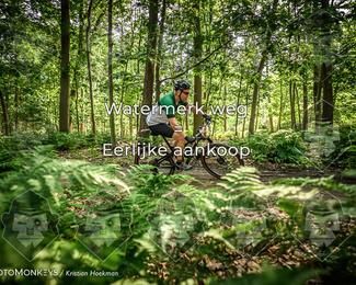 Bartje 200 photo