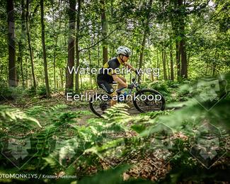 Bartje 200 photo