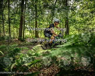 Bartje 200 photo