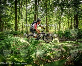 Bartje 200 photo