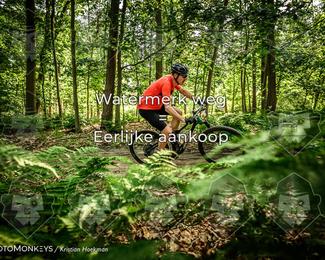 Bartje 200 photo
