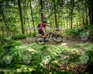 Bartje 200 photo