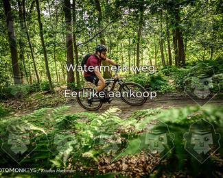 Bartje 200 photo
